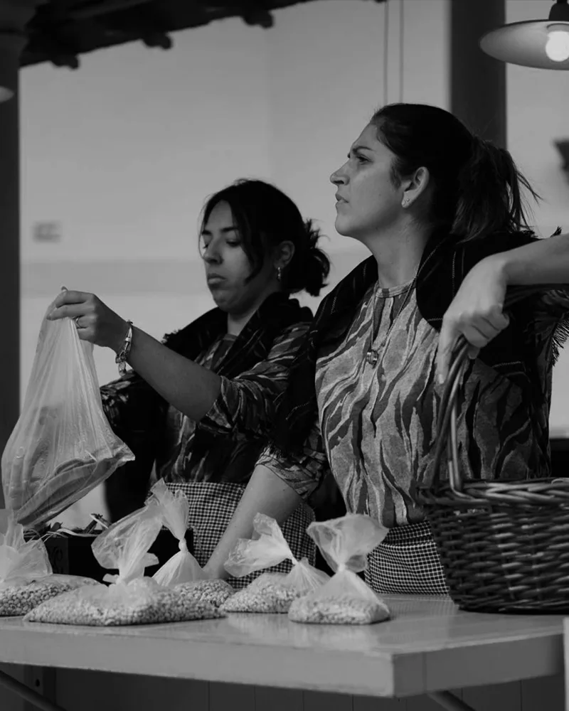 Ópera à Moda do Porto
