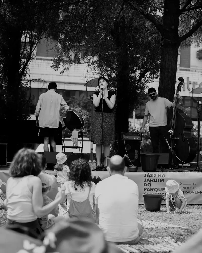 Do Outro Lado do Som, Concerto para Famílias