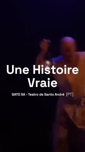 Une Histoire Vraie - Festival MIMARTE