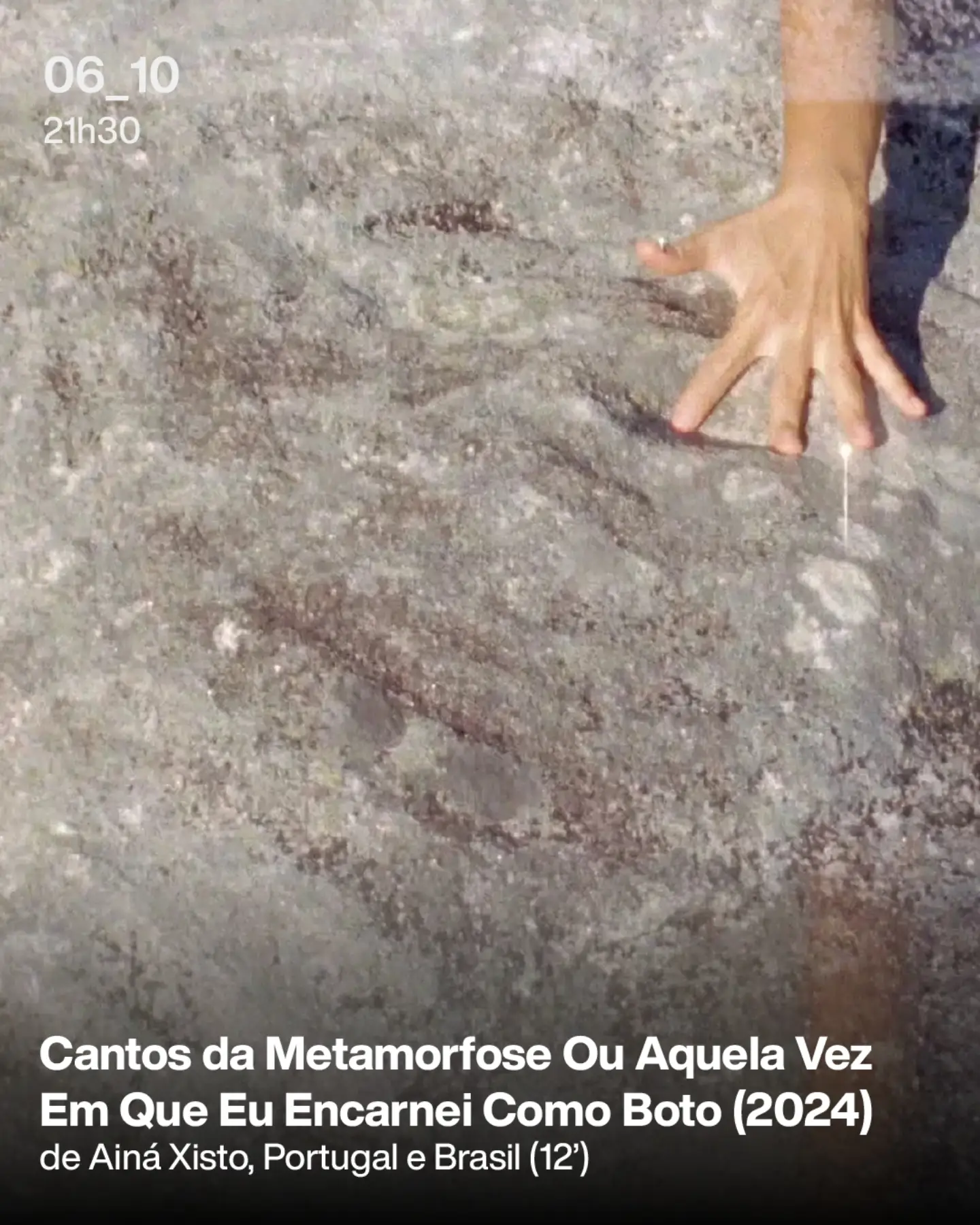 Fordlândia Panacea + Cantos da Metamorfose